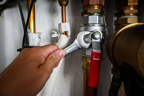 Best Plumbing Inspection Services  in Hackberry, TX